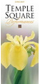 Flyer/Newsletter example