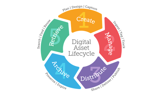 Digital Asset Lifecycle